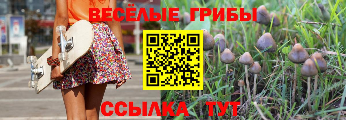 Псилоцибиновые грибы Cubensis Петропавловск-Камчатский