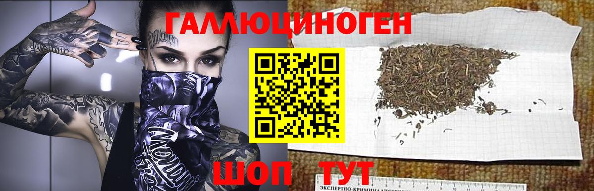 Петропавловск-Камчатский  Псилоцибиновые грибы мухоморы  Вход с VPN 